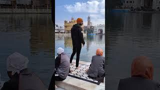 Golden Temple ️‍ @AshutoshBanerji #shorts #goldentemple #amritsar #trending #reels #viral