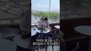 정다율TV 전주 한옥마을 전망대카페