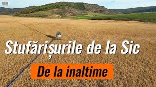 Stufarisurile de la Sic  -  vazute de sus