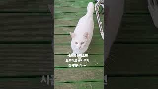 시골에 눈이오면 ? 트랙터 두대로 눈치우기 감사합니다