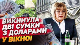 Пачки доларів були розтикані по всій оселі! Гучна справа затримання керівниці МСЕК