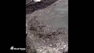 Dirt geyser at the beach in Sochi