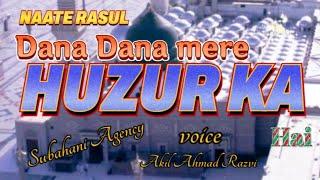 Dana Dana Mere Huzur Ka Hai | New Naat Sharif | Subahani Agency