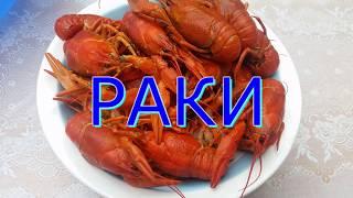 Как правильно и сколько варить РАКОВ Быстро и вкусно! How to boil crawfish!