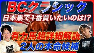 【BCクラシック】シティオブトロイの思惑と有力馬詳細解説！日本馬で買いたい馬は!?