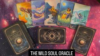 The Wild Soul Oracle Cards | Full Flip Through