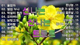 신나는 신나는 트로트 | KPOP [ TROT ] | PLAYLIST( 꽃길.상사화.여인의 눈물.회룡포.바람길...)