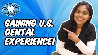 How to Gain Experience in the US as an International Dentist | Mental Dental