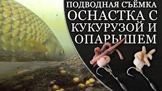 ОСНАСТКА С КУКУРУЗОЙ И ОПАРЫШЕМ ДЛЯ КРУПНОЙ РЫБЫ. Подводная съёмка