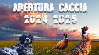 APERTURA CACCIA 2024 - 2025 CON CANI DA FERMA /HUNTING OPENING 2024 - 2025 WITH POINTING DOGS