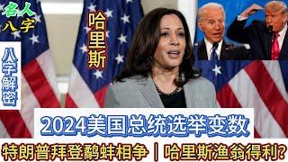 125.名人八字之哈里斯八字分析：2024美国总统选举变数 特朗普拜登鹬蚌相争，哈里斯渔翁得利？2024 美国总统选举｜民主党 拜登 哈里斯｜共和党 特朗普