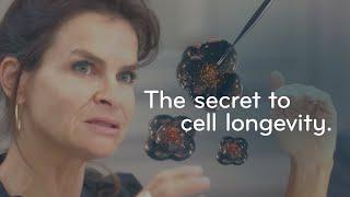 The secret to longevity | Proteome protection is the key to youthful skin | New scientific discovery