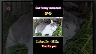 MH funny moments 59 #funny #comedy #viralvideo #shortvideo #mrbeast #cristianoronaldo #cat #prank