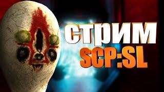 Я Микрочелик! SCP SL!Стрим!Розыгрыш донатной роли)