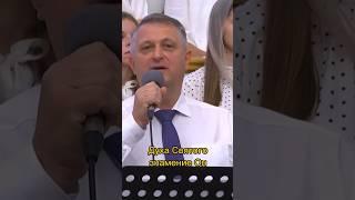 Навсегда будь со мной, Голубь мой