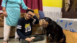 Sorry ye krna pada  | dog can talk part 224 | roxycheeni | Review reloaded