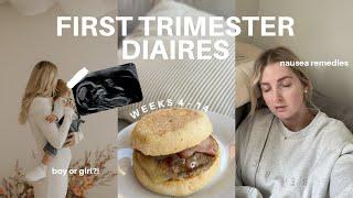 FIRST TRIMESTER VLOG | early pregnancy symptoms, gender reveal and nausea remedies, 4 - 14 weeks