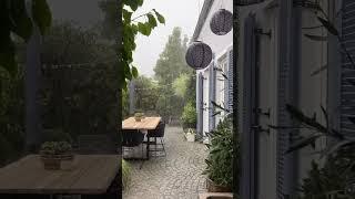 Summerrain #garten #garden #gardeningplants #plants #mygardentoday #rain #gartenliebe #regen