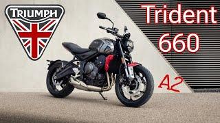 Triumph Trident 660 A2 2024