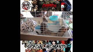 Crypticon Minnesota 2024 Year 18 Special Moments capture on video