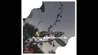 Pothwari poetry |safeerraja|