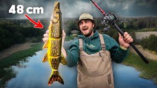 Trying GIANT Swimbaits (48 cm) for Cannibal Pike!!! 