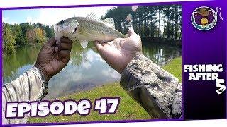 The Last Good Fishing Day (Hays Nature Preserve, Huntsville AL) - Fishing After 5