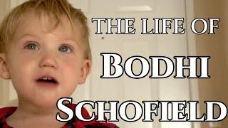 The Life of Bodhi Schofield