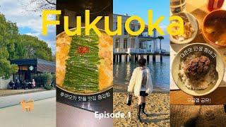 후쿠오카  4박 5일 먹방 여행 VLOG  (ep.1) | 한식파 입맛까지 사로잡은 SNS 핫플 찐맛집 | 인생 함바그,모츠나베,야키니쿠 | 필수 관광 코스 구글맵 공유 