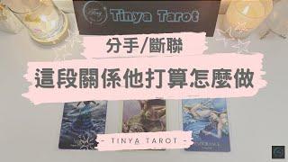 -Tinya Tarot-[分手/斷聯] 這段關係他打算怎麼做無時間限制