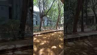 Guess which place is this ? | Hint : somewhere in Bangalore