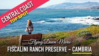 295: Fiscalini Ranch Preserve - Best Hikes & Coastal Views in Cambria, CA (Central California)