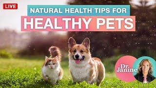 Natural Tips for Healthy Pets | Dr. J9 Live