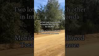 Two lots side by side in Florida for $9900 Mobile homes are allowed! #realestate #florida #fyp #land