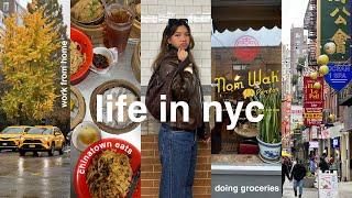 Living Alone in NYC | groceries, chinatown eats, weird nyc encounter...