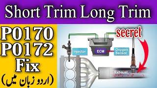 Short Term fuel Trim Long Term fuel Trim fully explain | P0170 | P0172 | The Car Doctor Pakistan