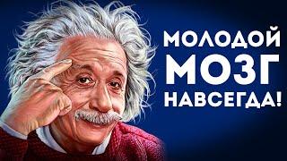 Сохрани Мозг Молодым Навсегда! 7 Простых Способов.