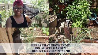 Herbs That Grow In My 100 Degree Garden - Desert Garden Zone 9b