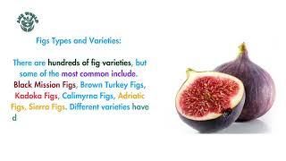 Health Benefits of Figs fruit? #figs #Figsbefits #figsfiber #figsdigestion #figsvitamins