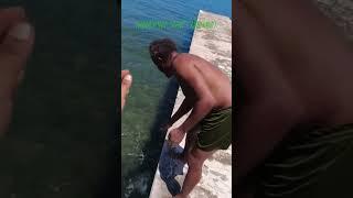 #fishing #jamaica #lurefishing #youtube #food #jamaicajamaica #fishingmethods