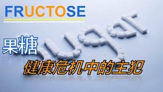 【糖的黑暗面-1】【医学知识】世界健康危机中的“主犯”——果糖，告诉您关于糖的几个真相，糖的种类