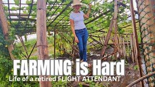 It's TOUGH to have a FARM in the PHILIPPINES | Learning how to Drive