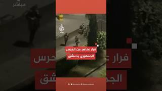 المعارضة السورية المسلحة: فرار عناصر من الحرس الجمهوري في حي المالكي بالعاصمة دمشق