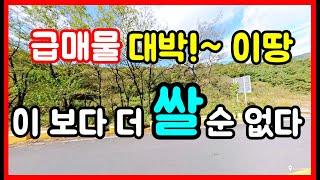 (급매물) 대박~ 땅 경북 포항 토지매매 가을에 이런 땅 못구합니다. 포항 경주 영덕 영천 부동산 촌땅매매 시골땅매매 임야매매 토지매매 바닷가 토지매매 #착한부동산tv