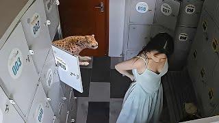 Best Prank Reaction Collection #80 | Scary Pranks/JumpScares/Funny Videos/Funny Fails