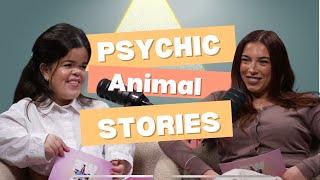 Tarot Card Readings, Animal Rescue Stories and more | EP 7