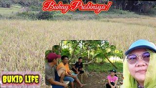 "Relaxing! Sa bukid! Probinsya Vlog 193 Buhay Probinsya Updates || Erlyn Go TV