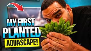 Creating a BEAUTIFUL Planted Aquarium from Scratch