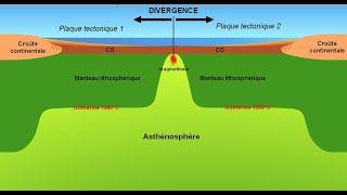 Formation des plaques tectoniques et divergence