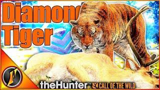 DIAMOND TIGER!!! | Sundarpatan Early Access in theHunter Call of the Wild